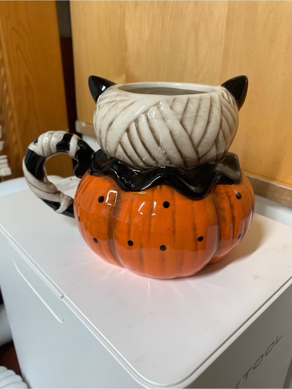 Johanna Parker cat mummy - Picture 3 of 6